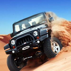 Desert Rally Desert Rally