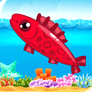 Fishing Frenzy Fishing Frenzy