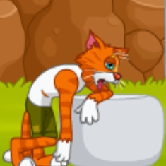 Catastrophe